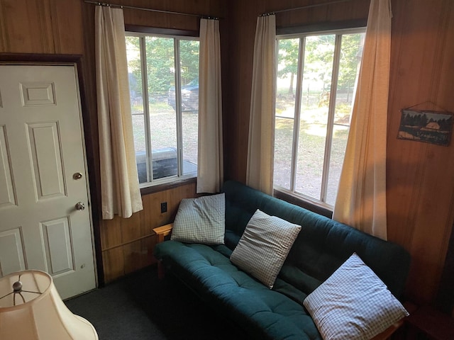 living room with plenty of natural light and wooden walls