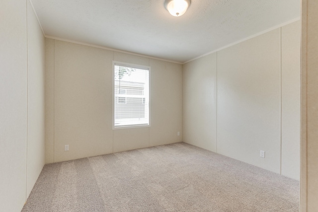 unfurnished room with a textured ceiling, carpet floors, and ornamental molding