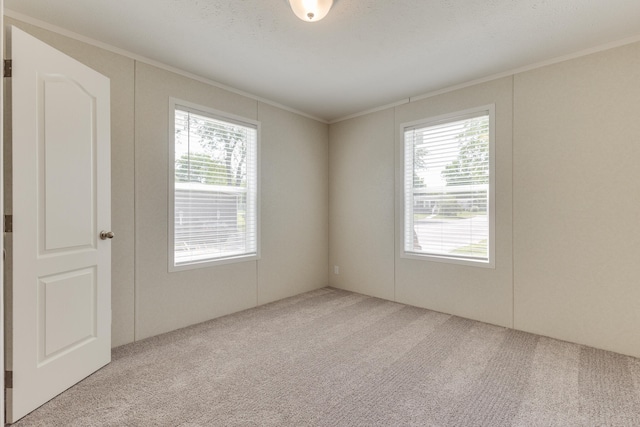 empty room with a textured ceiling, crown molding, and light carpet