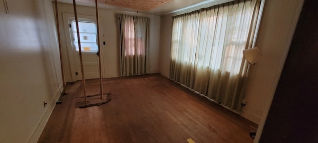 unfurnished room with wood-type flooring