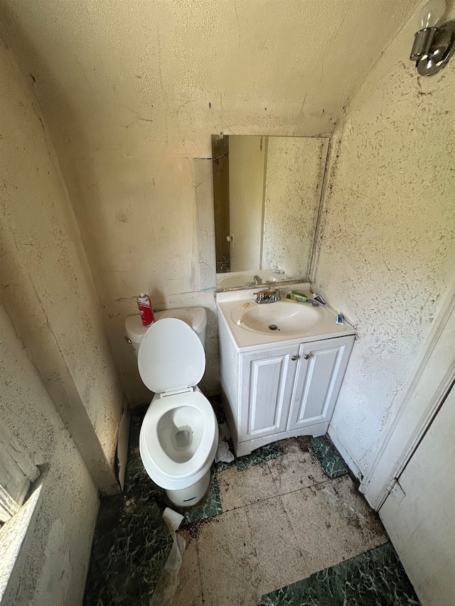bathroom with vanity, toilet, and lofted ceiling