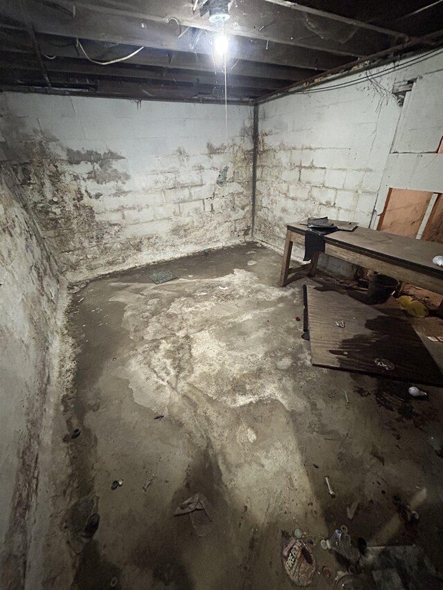 1028 Campbell St, Flint, MI 48507 - view of unfinished below grade area