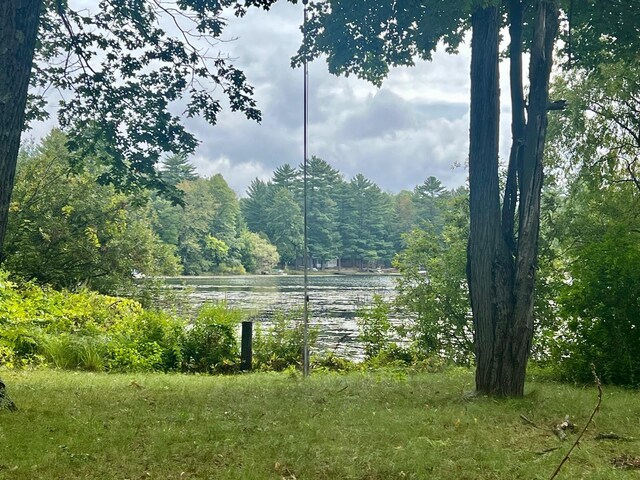 5576 S Whalen Lake Rd, Baldwin, MI 49304 - view of yard with a forest view and a water view