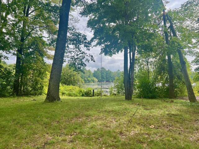 5576 S Whalen Lake Rd, Baldwin, MI 49304 - view of yard