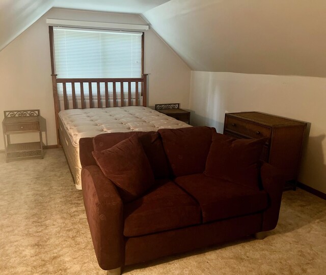 5576 S Whalen Lake Rd, Baldwin, MI 49304 - carpeted bedroom with vaulted ceiling