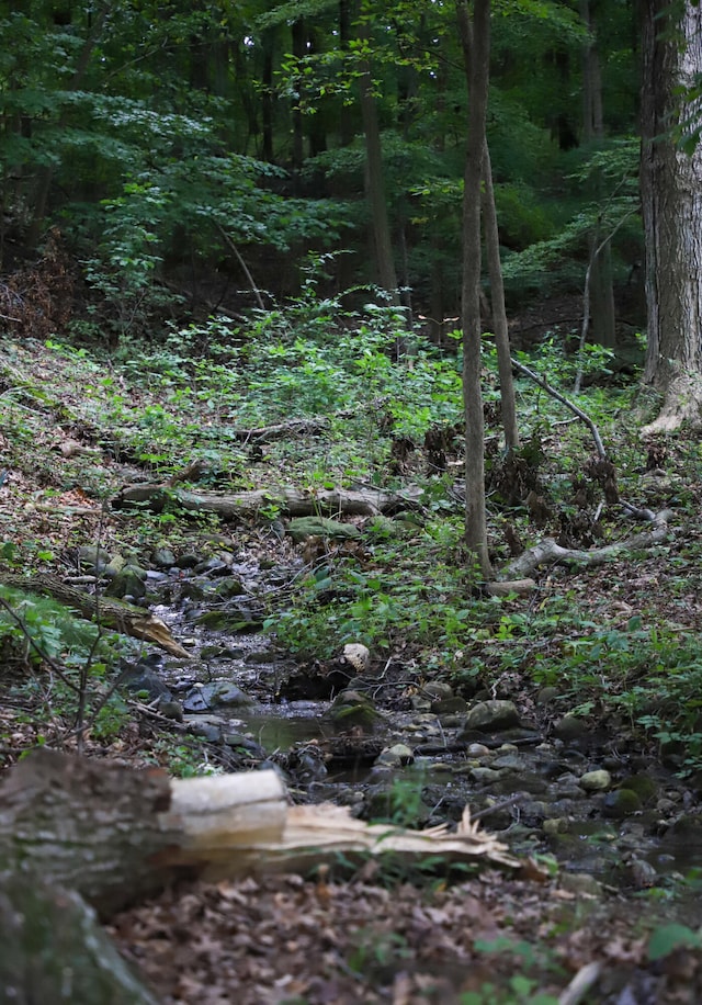 view of nature