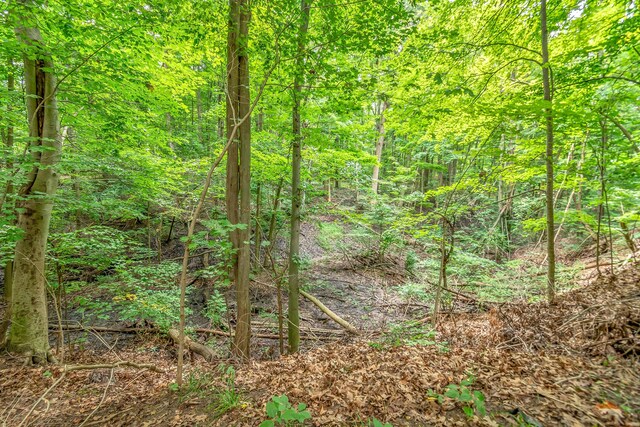 3558 Majestic Ct, Hillsdale, MI 49242 - view of tree filled area