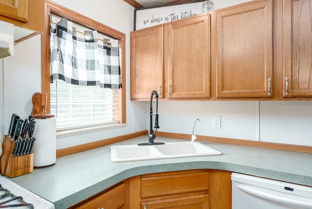 kitchen with dishwasher and sink