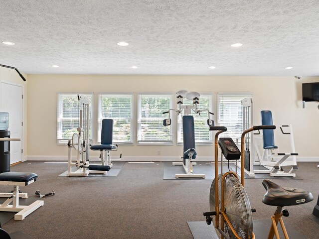 94 Charter Ct, Manistee, MI 49660 - workout area with healthy amount of natural light, baseboards, recessed lighting, and a textured ceiling