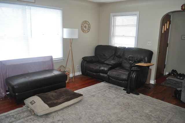 3329 120th Ave, Holland, MI 49424 - living room featuring arched walkways, wood finished floors, and baseboards