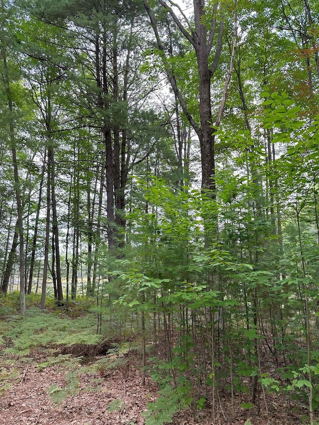 786 SE Blue Heron Dr, Kalkaska, MI 49646 - photo 4