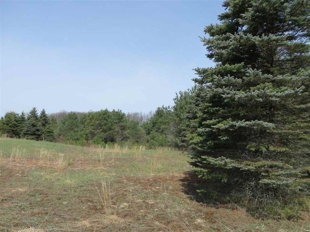 3 Spruce Hollow Trce, Fife Lake, MI 49633