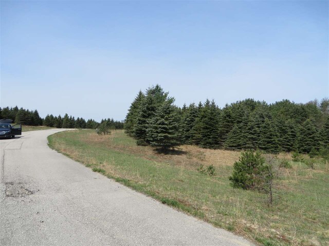 3 Spruce Hollow Trce, Fife Lake, MI 49633