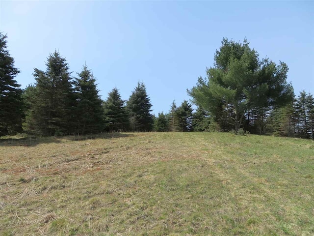 3 Spruce Hollow Trce, Fife Lake, MI 49633