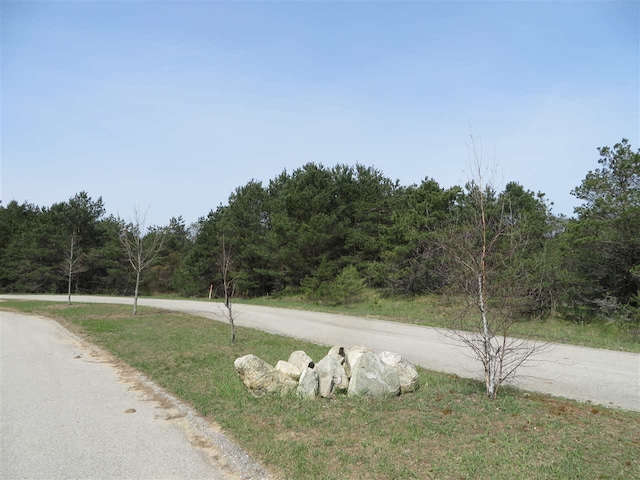 3 Spruce Hollow Trce, Fife Lake, MI 49633