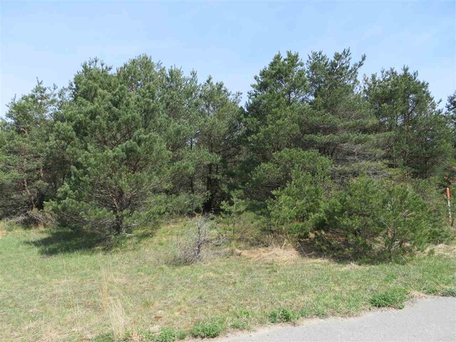 3 Spruce Hollow Trce, Fife Lake, MI 49633