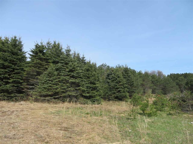 3 Spruce Hollow Trce, Fife Lake, MI 49633