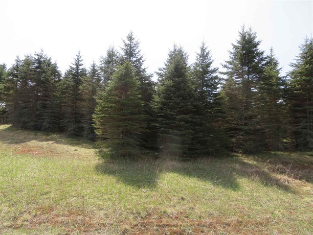 3 Spruce Hollow Trce, Fife Lake, MI 49633