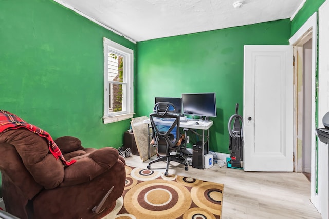 office space featuring light hardwood / wood-style floors