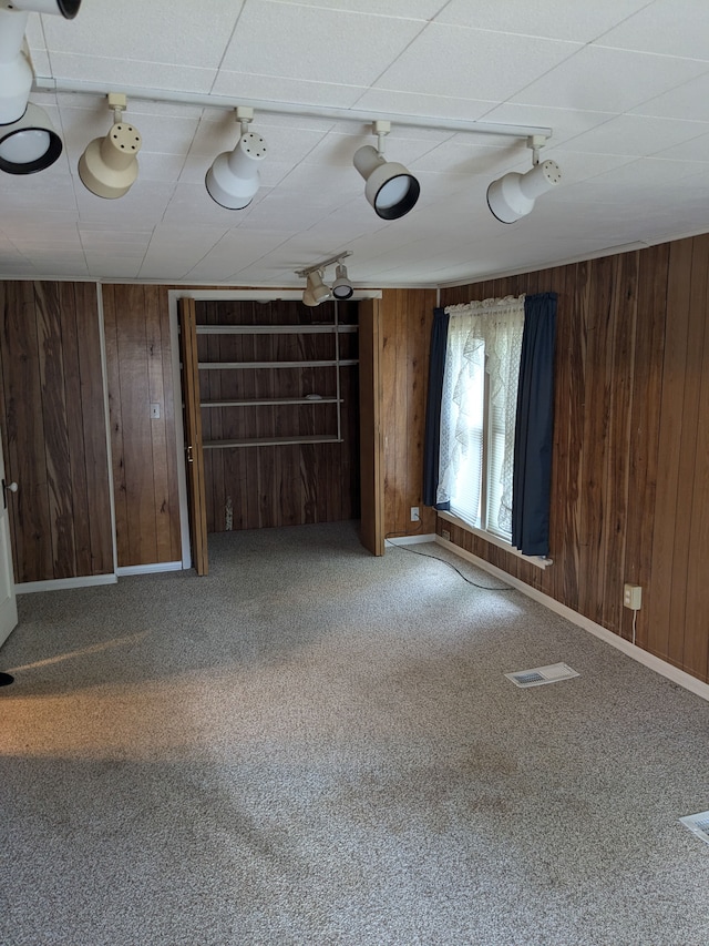 spare room featuring wood walls and carpet