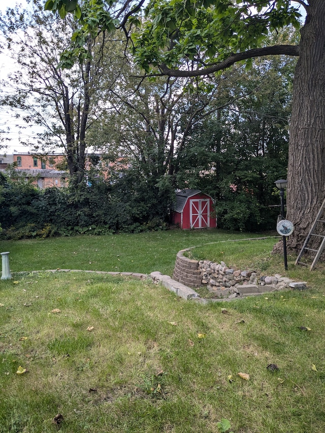 view of yard featuring a shed