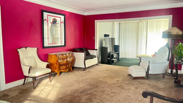 sitting room featuring crown molding and carpet flooring