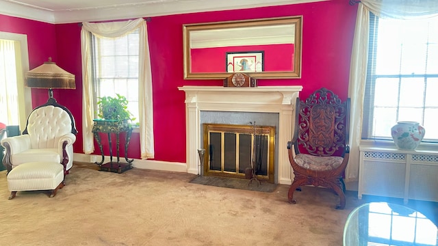 living area featuring ornamental molding and carpet floors