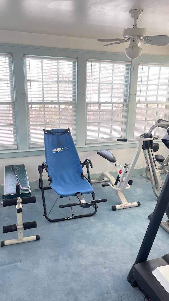 exercise room featuring a healthy amount of sunlight and carpet