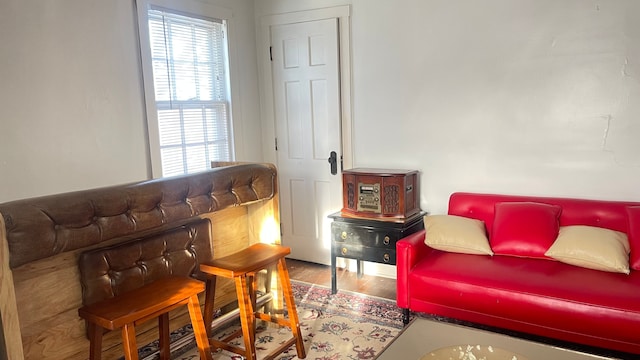 living area with hardwood / wood-style floors