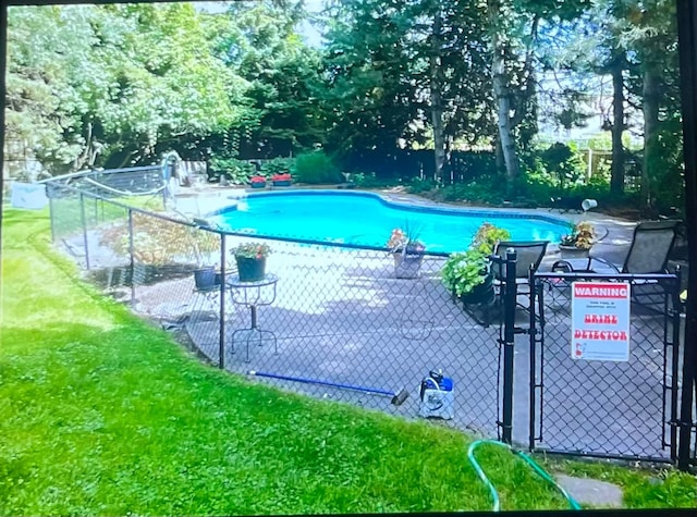 view of pool with a yard