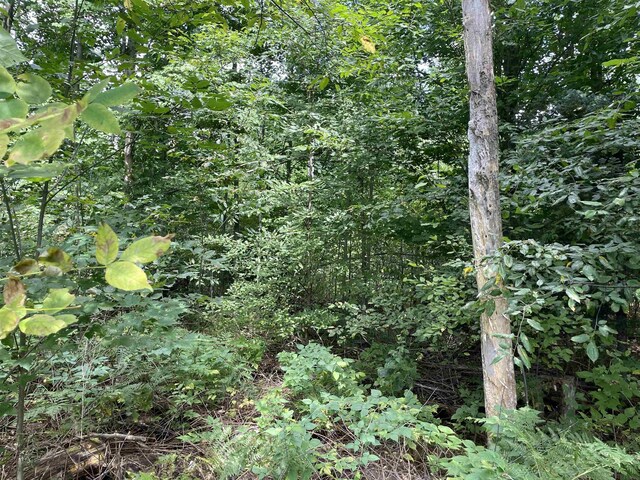 00 White Pine Dr, Cadillac, MI 49601