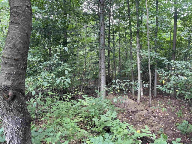 00 White Pine Dr, Cadillac, MI 49601