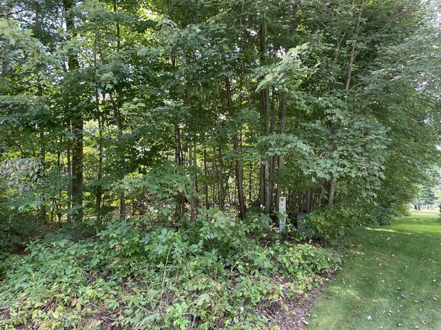 00 White Pine Dr, Cadillac, MI 49601