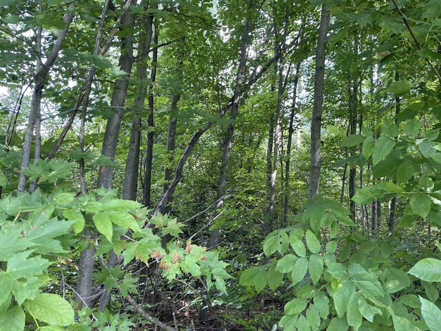 00 White Pine Dr, Cadillac, MI 49601