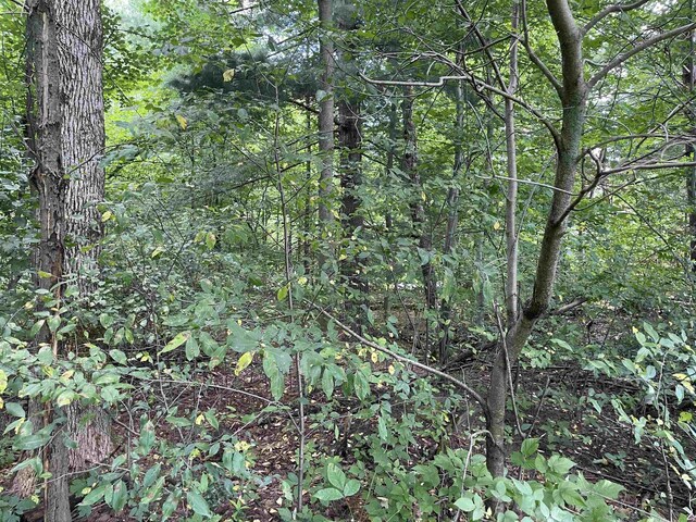 00 White Pine Dr, Cadillac, MI 49601
