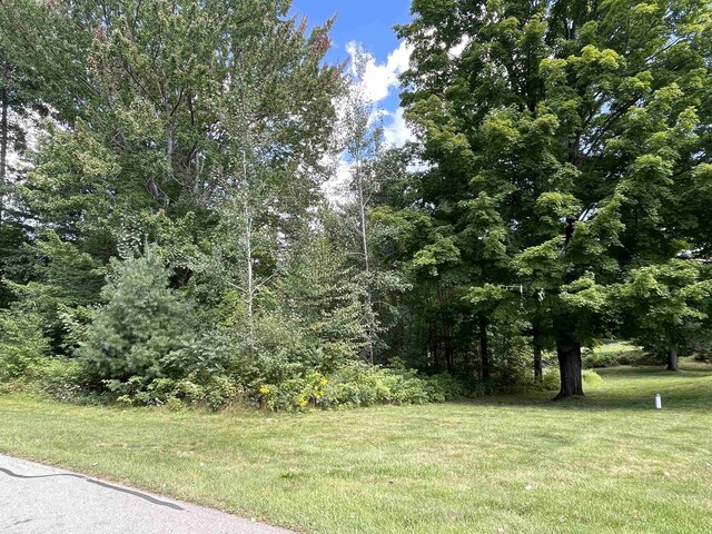 00 White Pine Dr, Cadillac, MI 49601