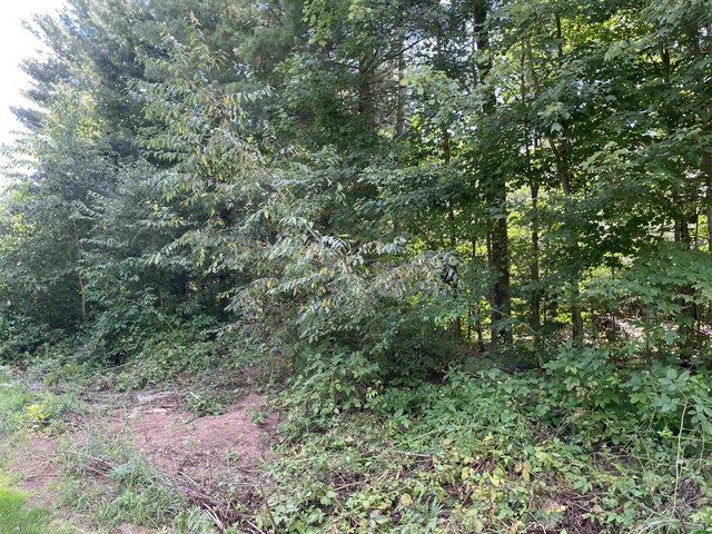00 White Pine Dr, Cadillac, MI 49601