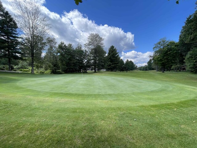 00 White Pine Dr, Cadillac, MI 49601