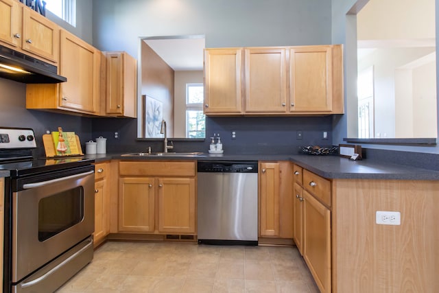 kitchen featuring sink, plenty of natural light, and appliances with stainless steel finishes