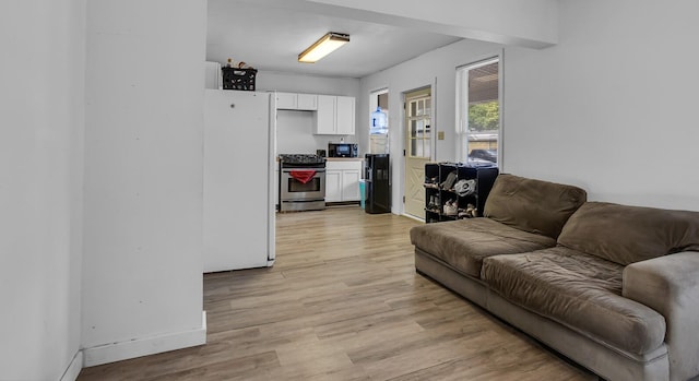 living room featuring light hardwood / wood-style flooring