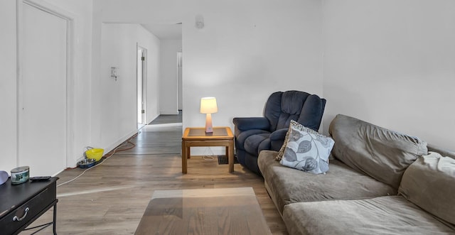 living room featuring hardwood / wood-style flooring