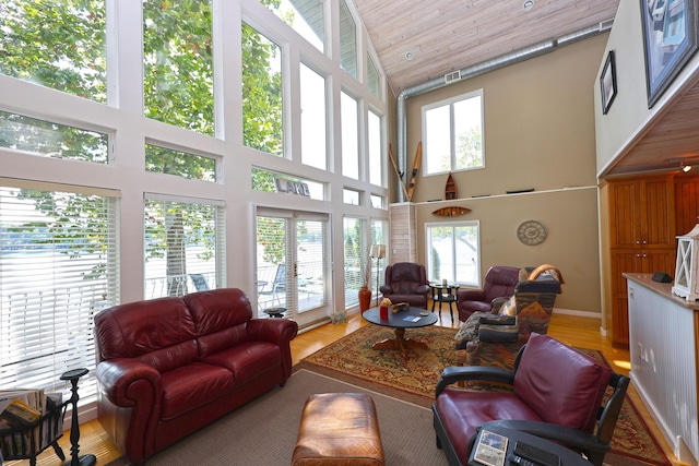 93810 Lake Ct, Dowagiac, MI 49047 - living room with a towering ceiling and light wood-type flooring