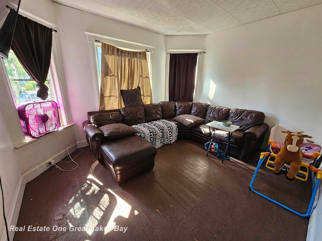 living room featuring wood-type flooring