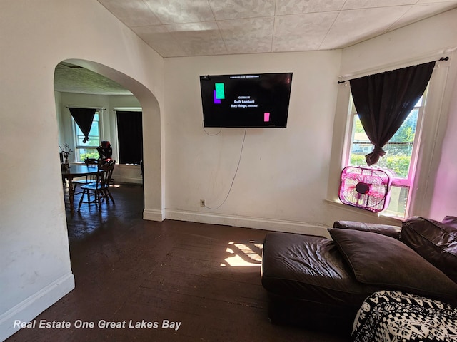 living room with dark wood-type flooring