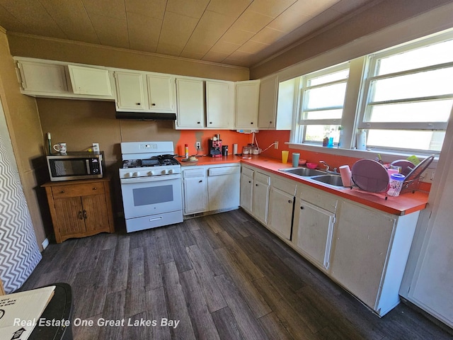 kitchen featuring dark hardwood / wood-style flooring, ornamental molding, white appliances, and sink