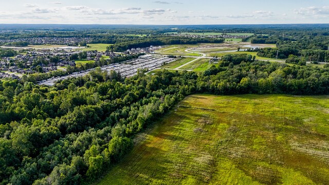 drone / aerial view