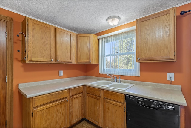 kitchen featuring dishwasher, a textured ceiling, and sink