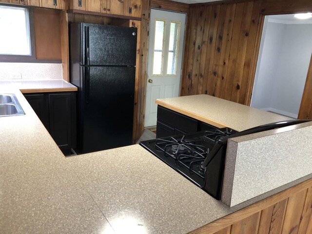 589 E Sidney Rd, Stanton, MI 48888 - kitchen with freestanding refrigerator, stovetop, light countertops, a sink, and wooden walls