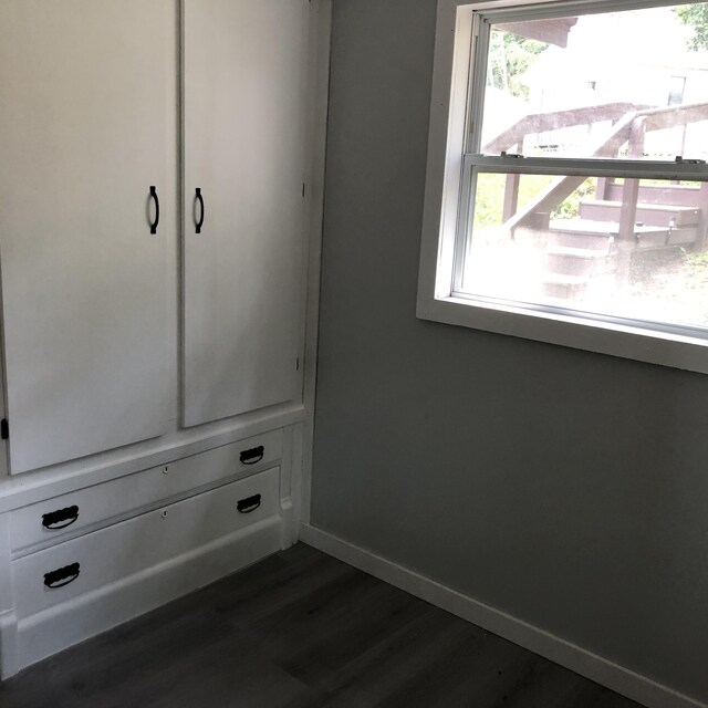 589 E Sidney Rd, Stanton, MI 48888 - view of closet