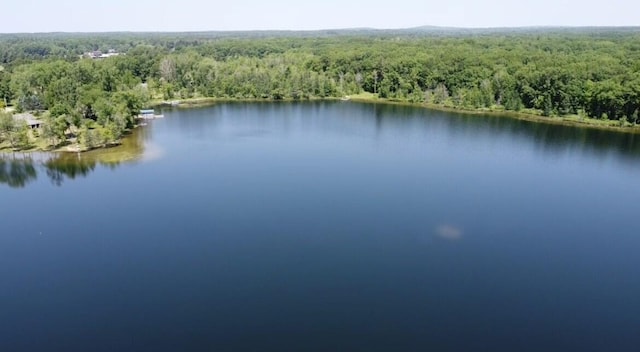 589 E Sidney Rd, Stanton, MI 48888 - drone / aerial view of a nearby body of water